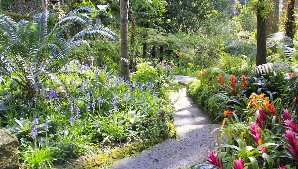 Résultat de recherche d'images pour "les jardins de la Mortella "